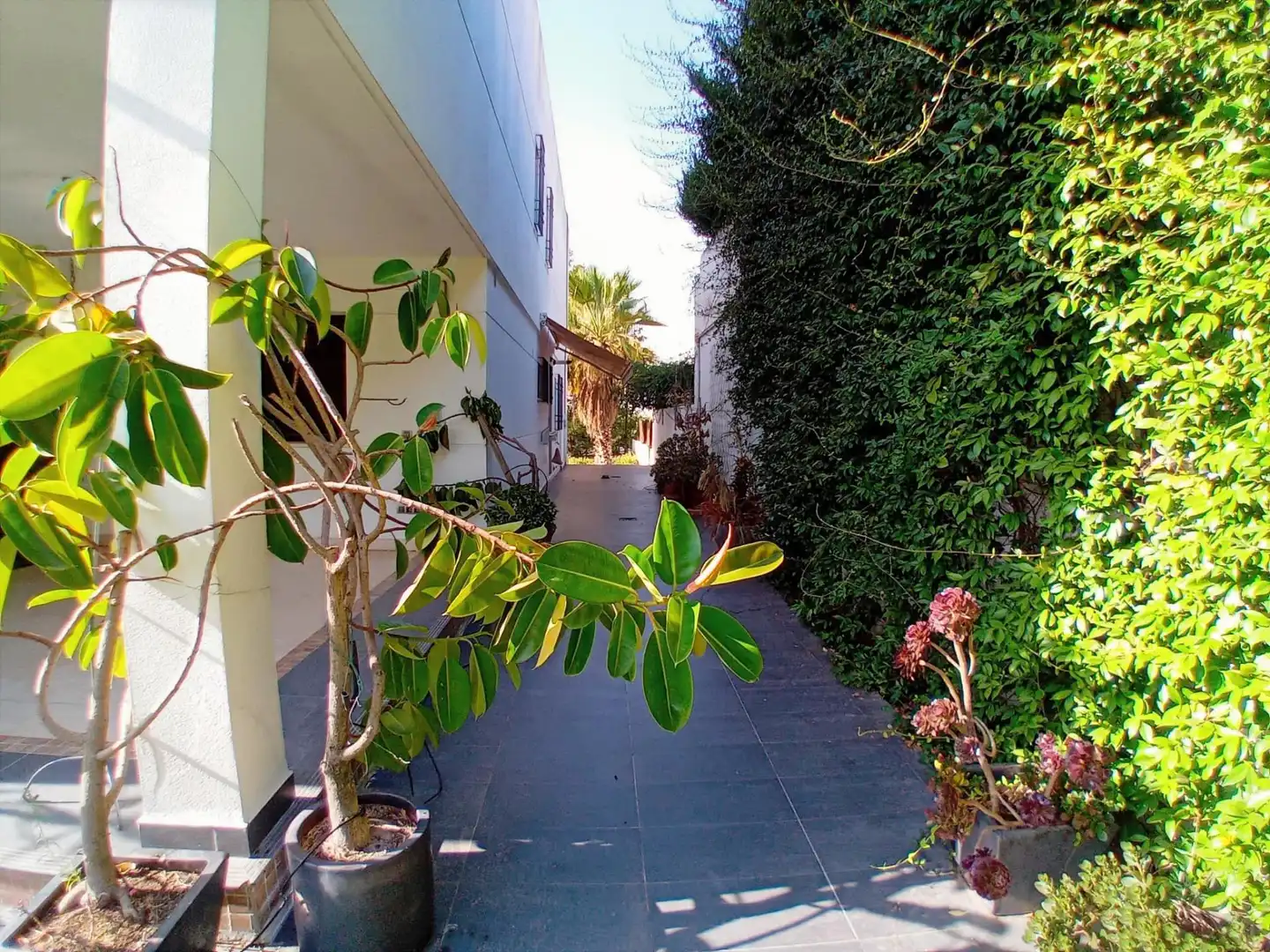 Villa mit Pool zur Miete in Norte-Sierra, imagen 48
