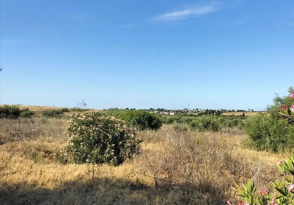 Terreni e lotti in vendita a Carretera de Palomares, imagen 17