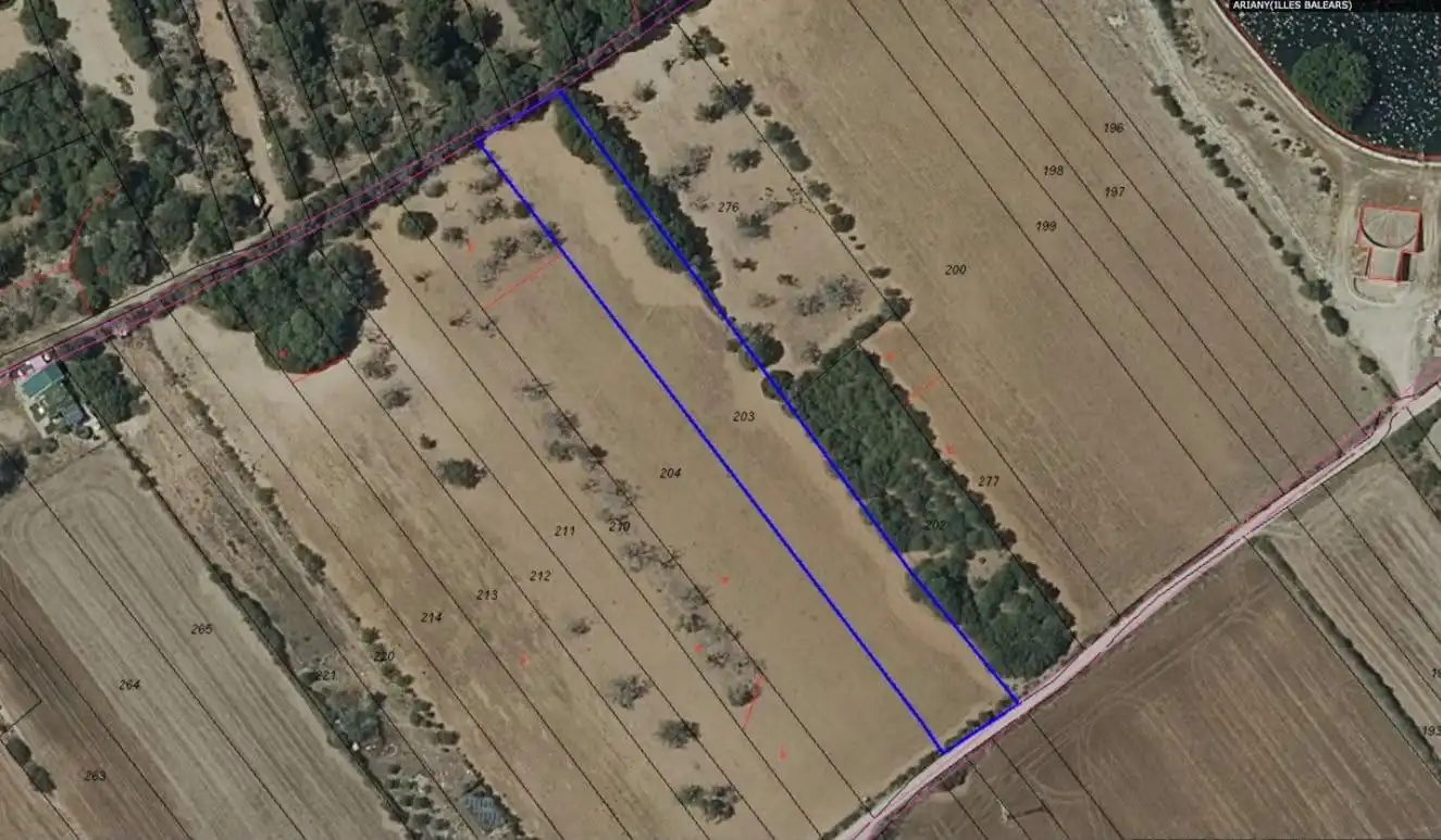 Rustikales Grundstück zum Verkauf in Ariany, imagen 19