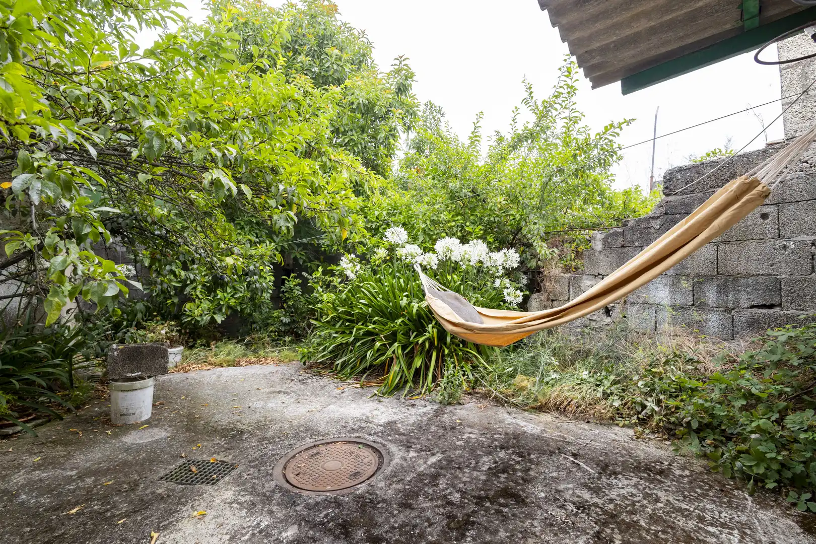 Jardín de Casa o chalet en venta en Icod de los Vinos con Jardín privado, Terraza y Trastero