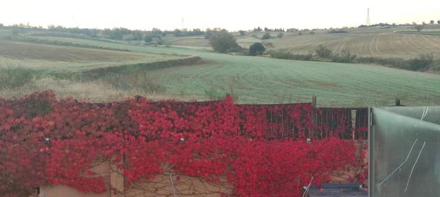 Casa-chalet en Venta en Batres