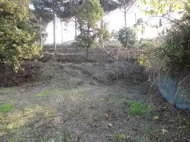 Terrain rustique à vendre à C/ St Antoni, imagen 12