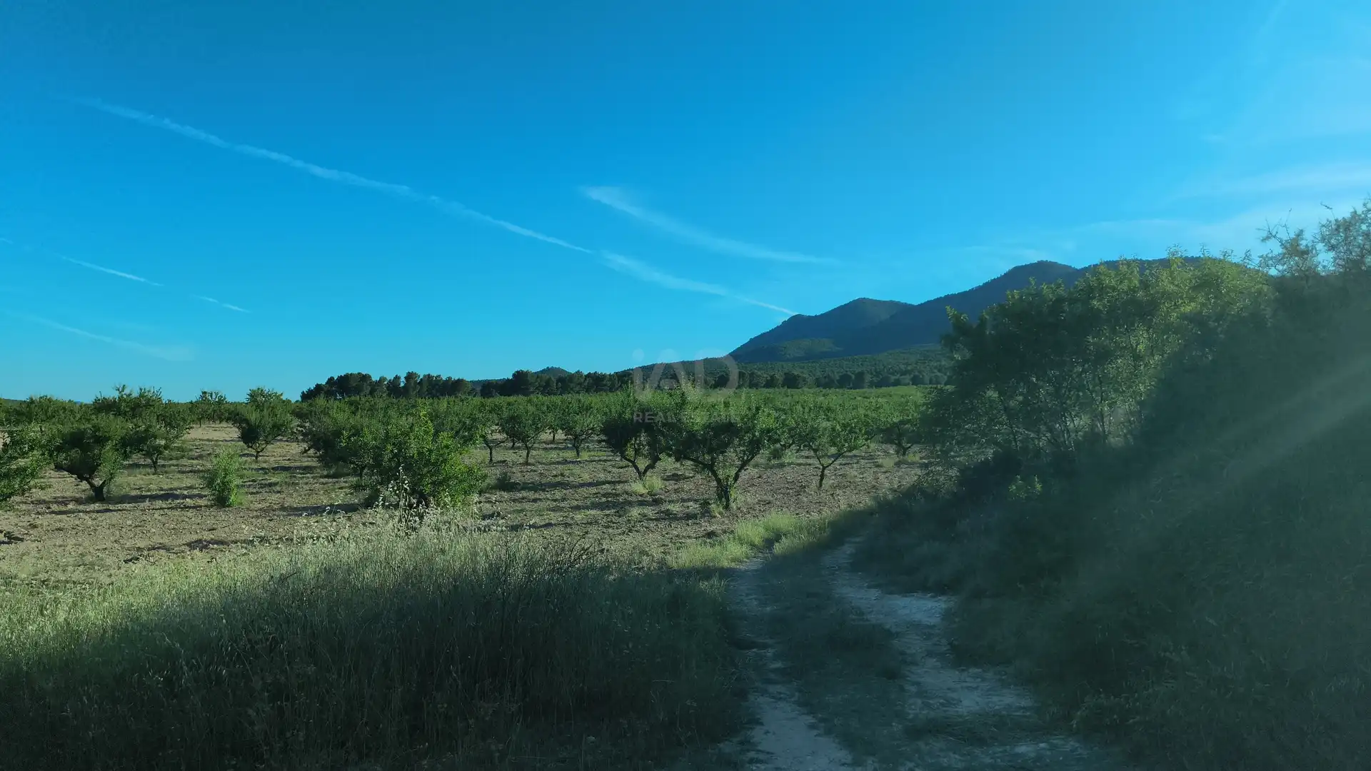 Terreny rústic en venda a Moratalla, imagen 6