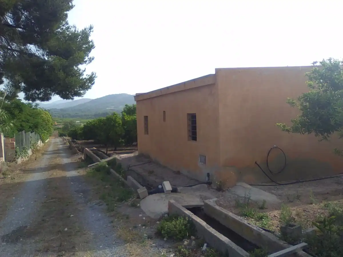 Vista exterior de Finca rústica en venta en Sagunto / Sagunt