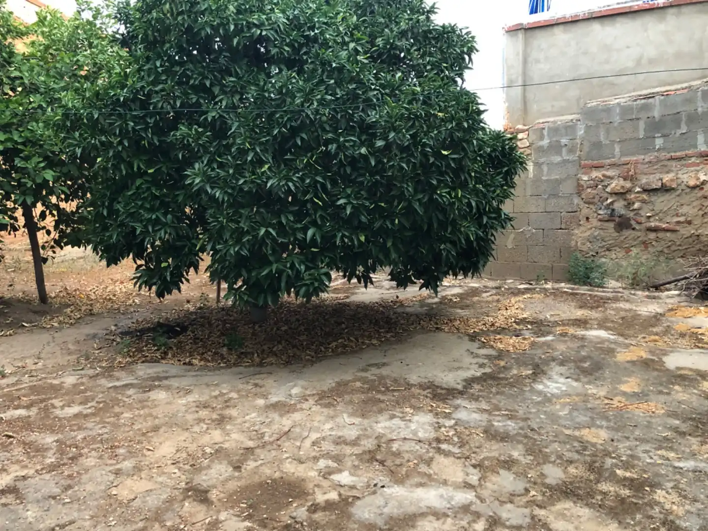 Casa con giardino in vendita a Meléndez Valdes 7, imagen 20