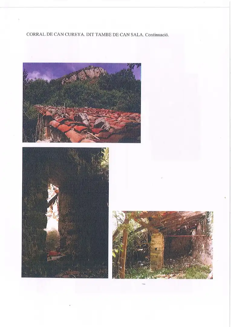 Vista exterior de Finca rústica en venta en Albanyà con Jardín privado, Terraza y Trastero