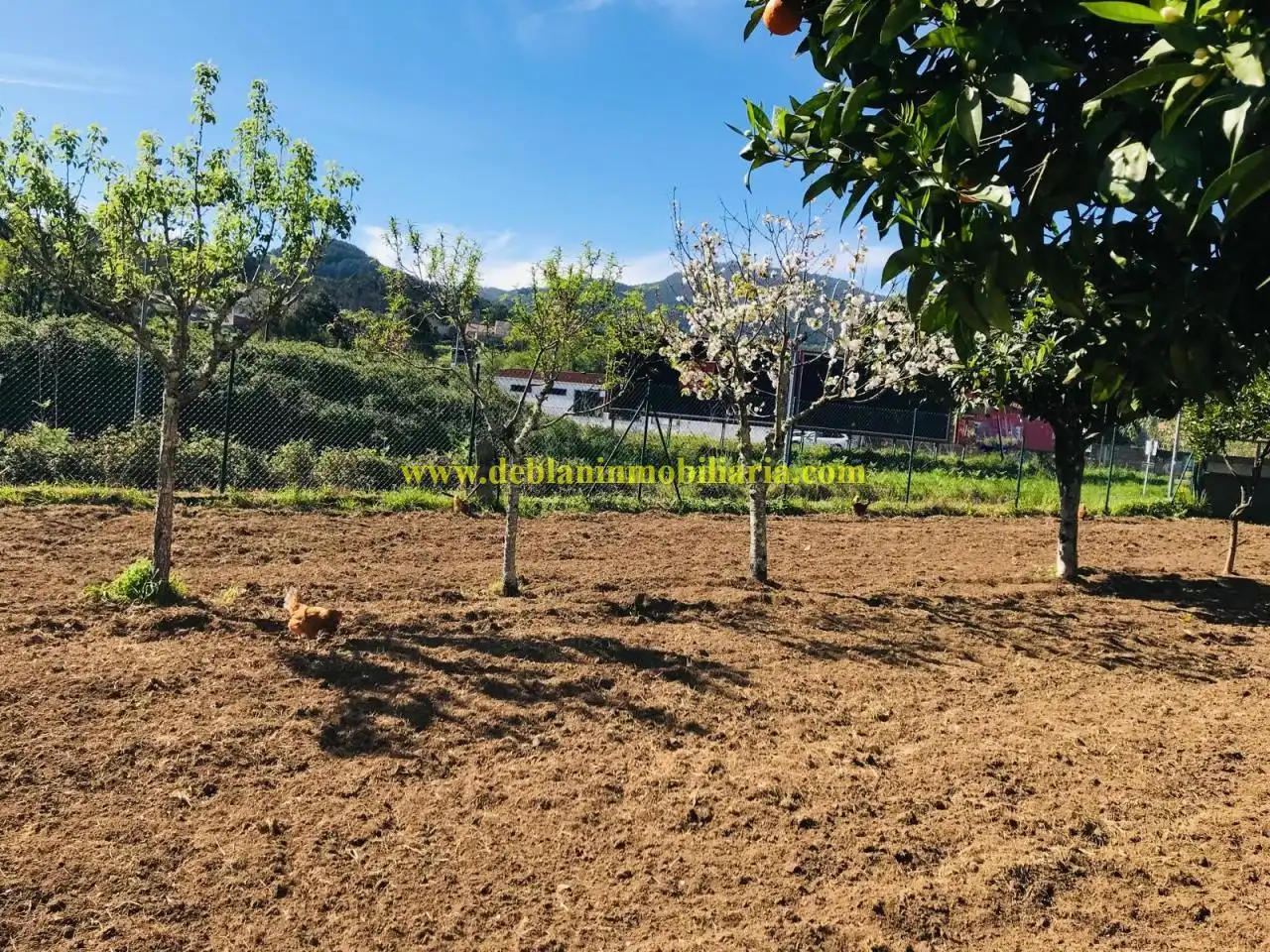 Terreno residencial en venta en Carretera N-50 Polígono 46, Parcela 61, imagen 6