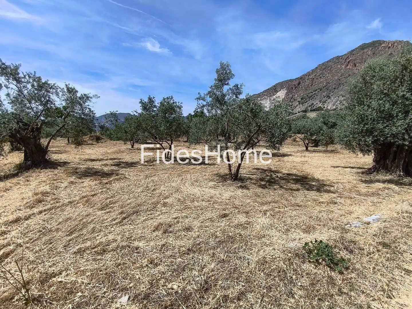 Rural land for sale in XFJ3+526 Nigüelas 0, imagen 17