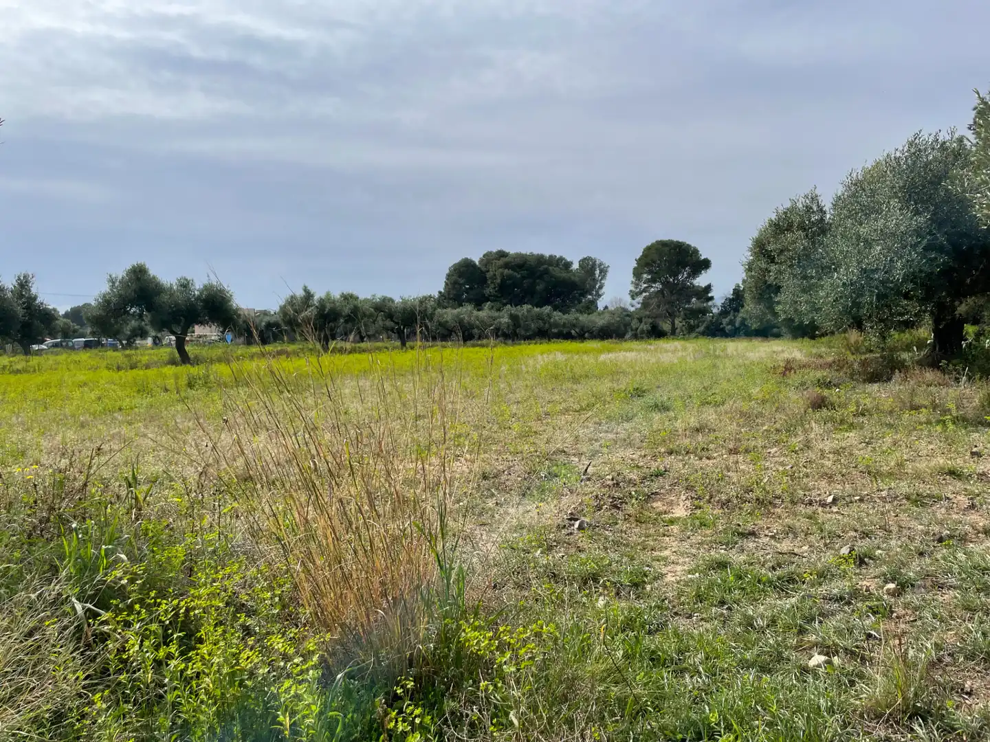 Grundstücke zum Verkauf in Cambrils