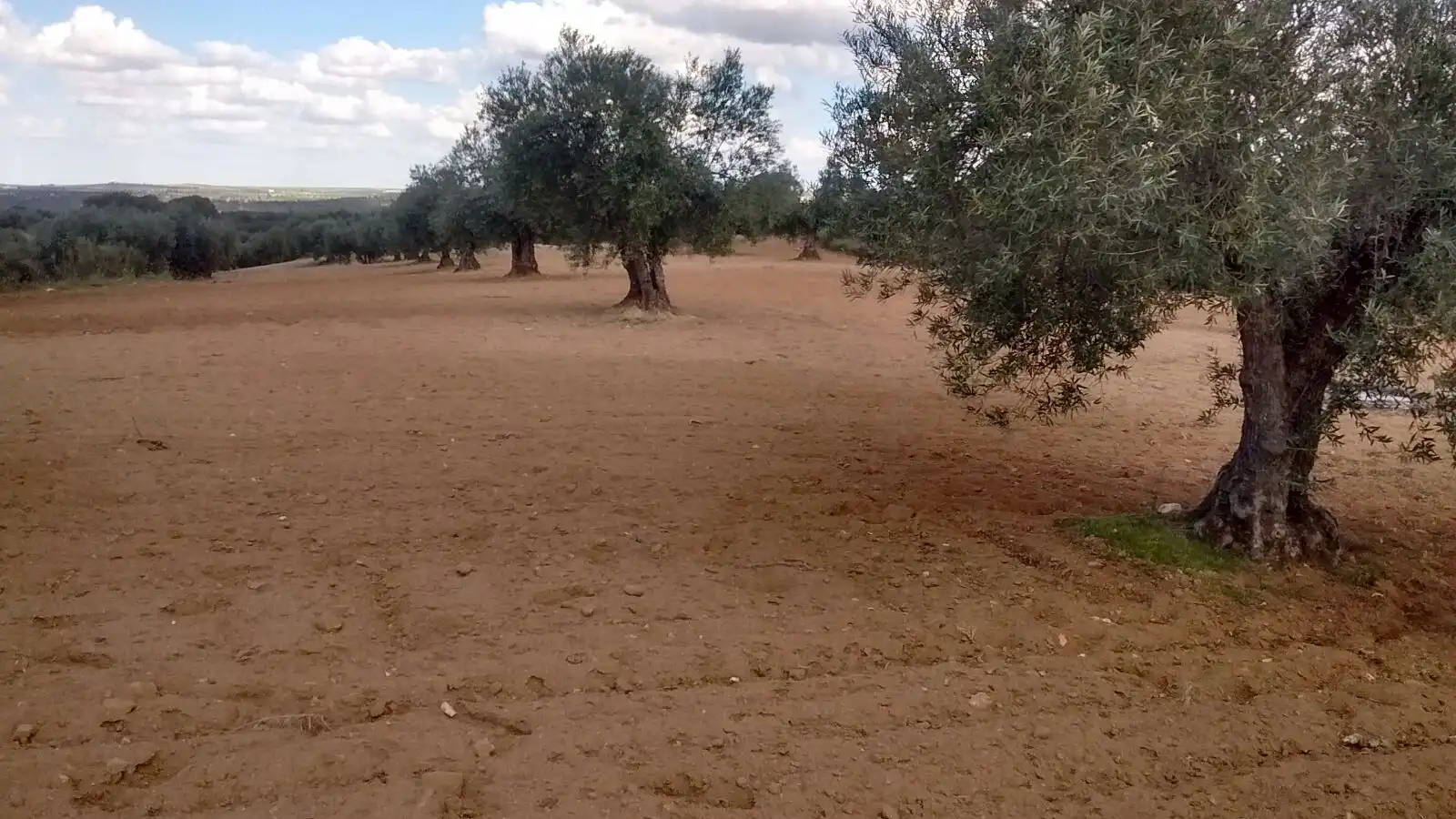 Terreny rústic en venda a Orgaz, imagen 2