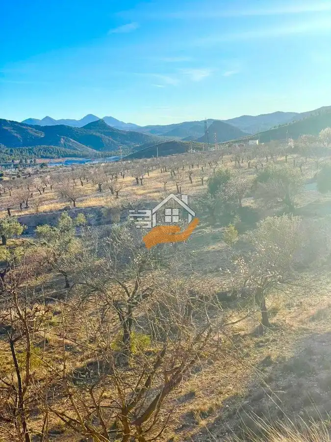Residential land for sale in Vélez-Rubio