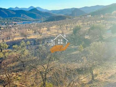 Terreny residencial en venda a Vélez-Rubio
