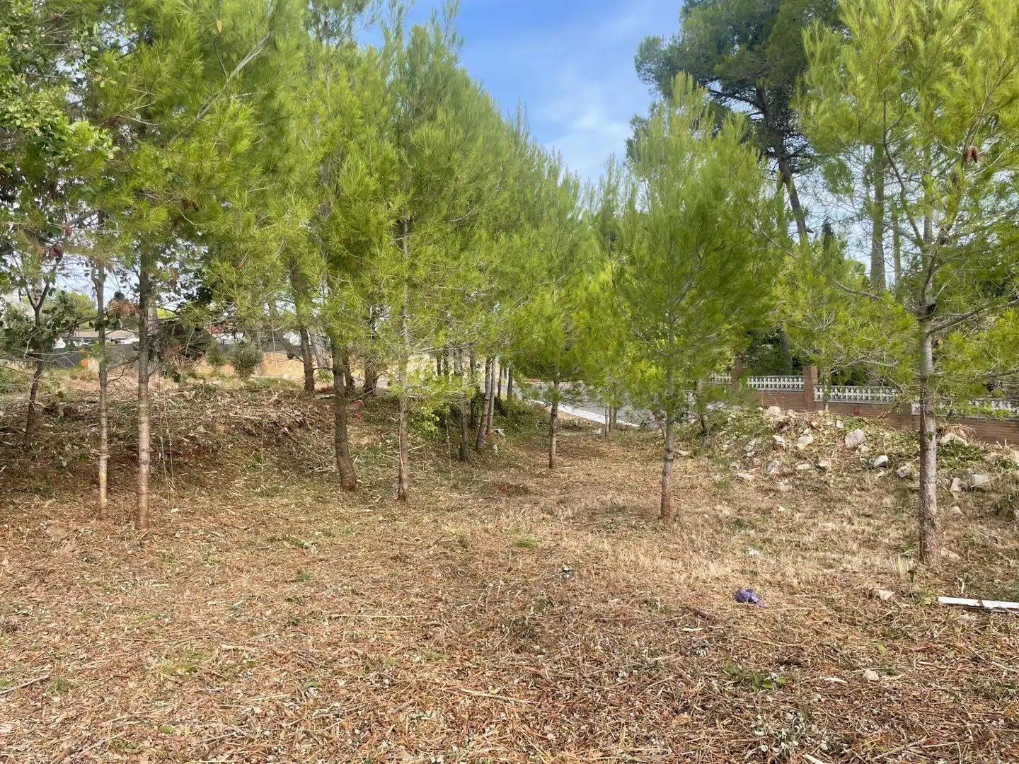 Residencial en venta en Carme, Barcelona