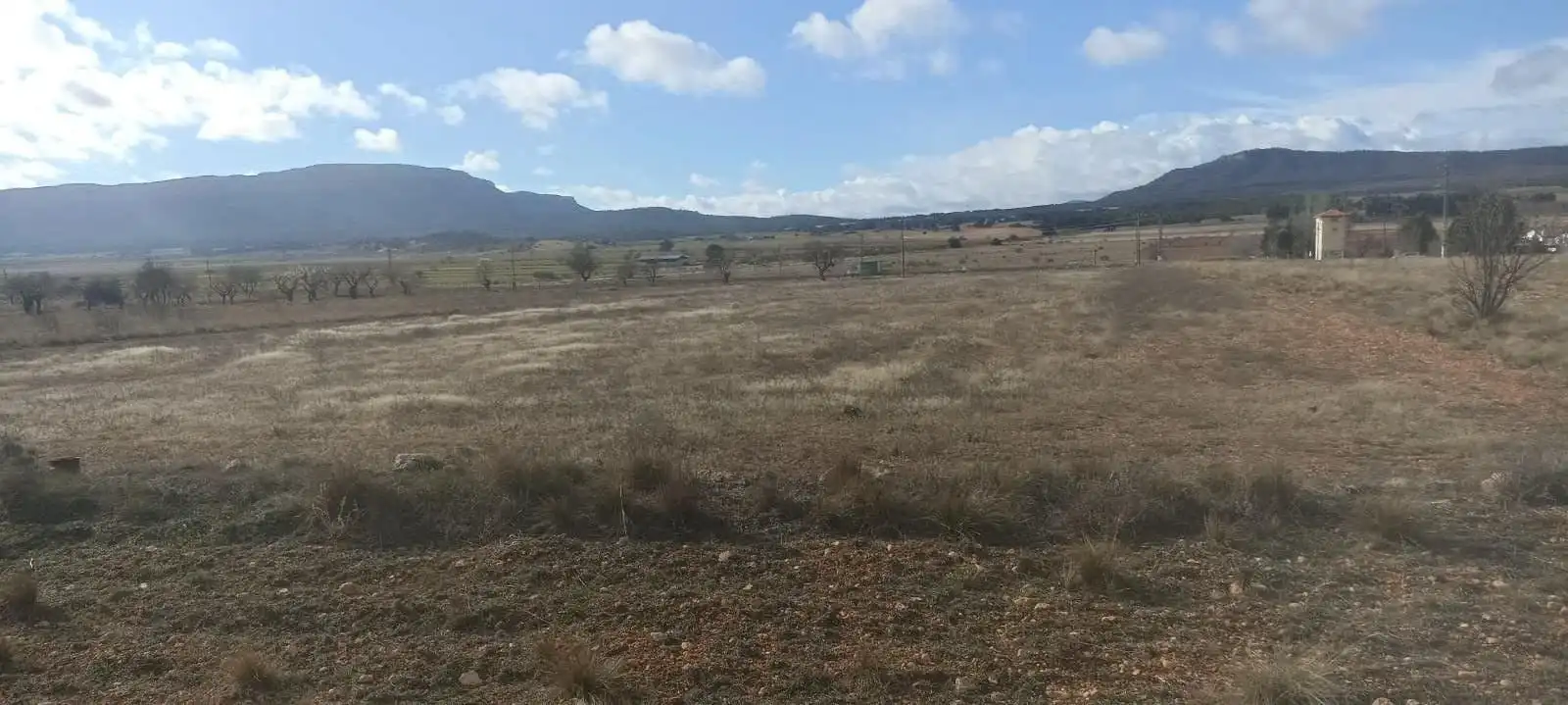 Terreny rústic en venda a Ayora, imagen 4