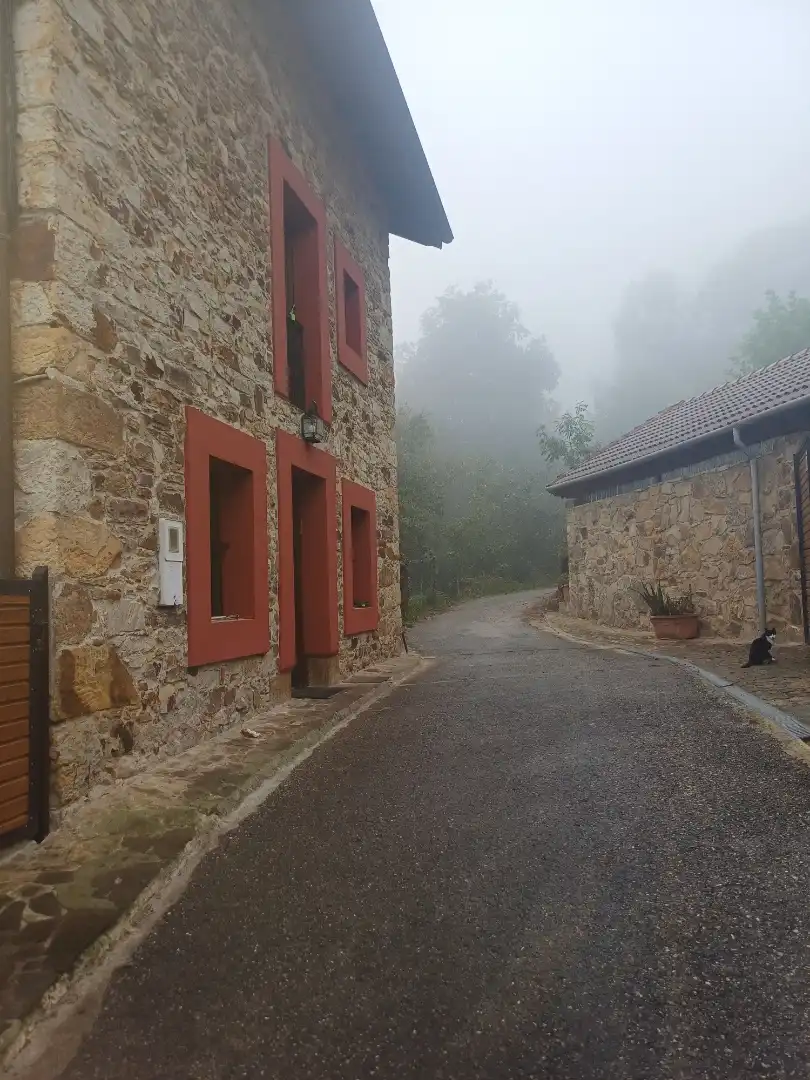 Vista exterior de Casa o xalet en venda en Oviedo 