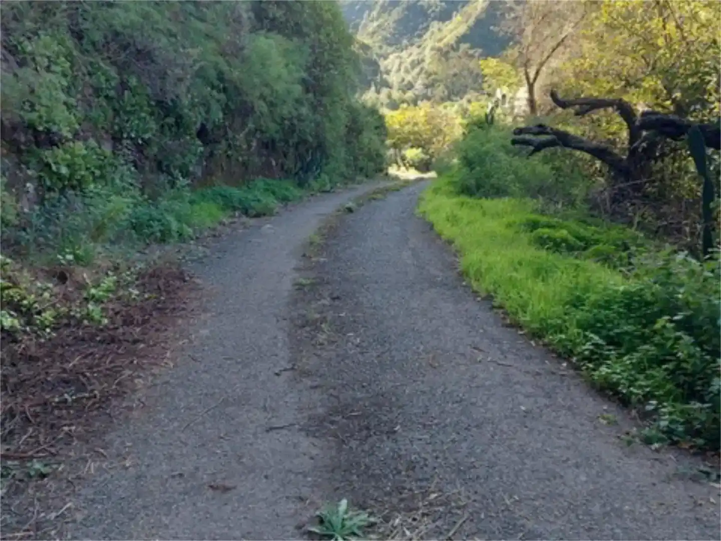 Außenansicht von Grundstücke zum Verkauf in Valleseco