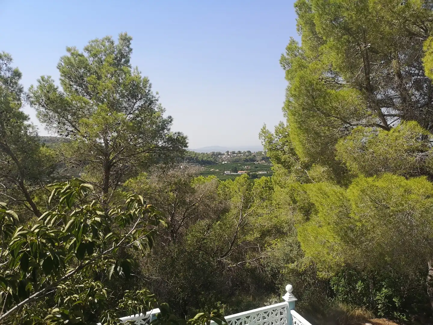 Casa o chalet en venta en Alzira con Terraza, Trastero y Piscina