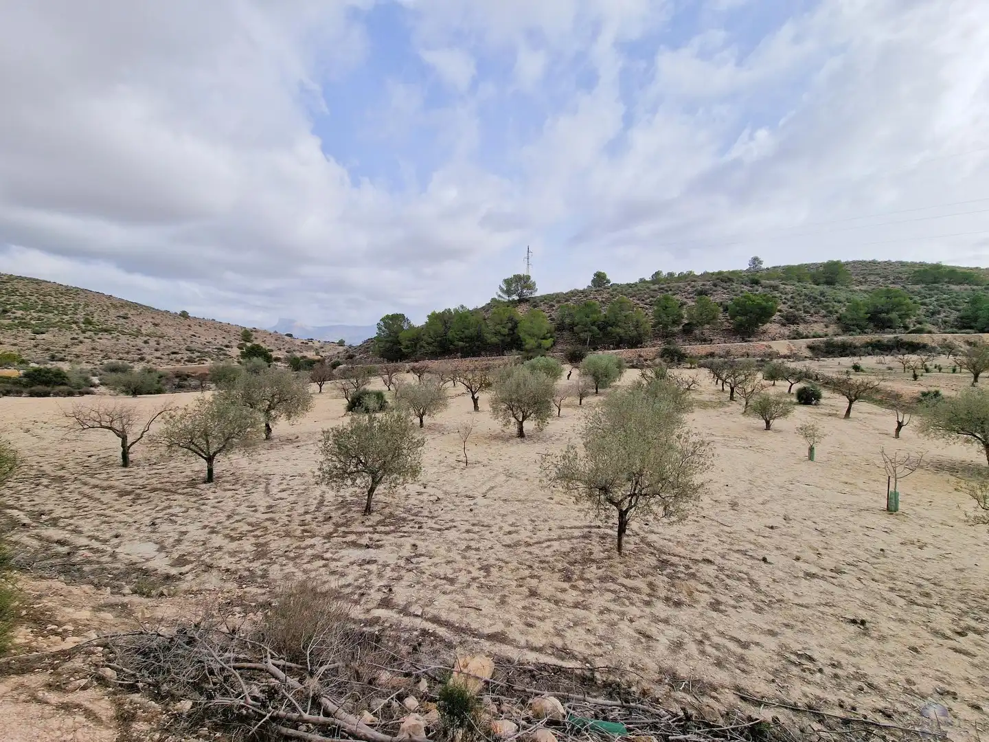 Villa in vendita a Monóvar  / Monòver, imagen 5