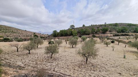 Foto 5 de Casa o xalet en venda a Monóvar  / Monòver, Alicante