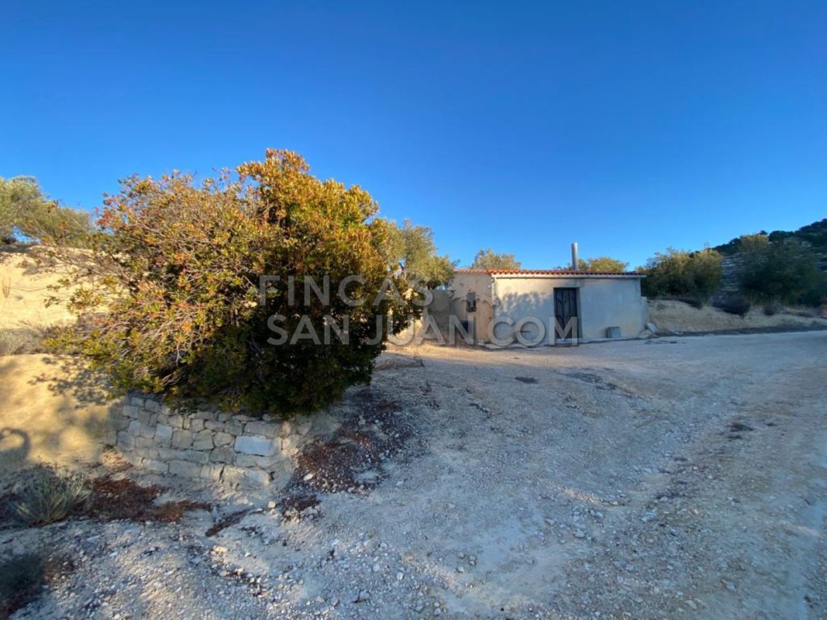 Vista exterior de Finca rústica en venta en Torremanzanas / La Torre de les Maçanes