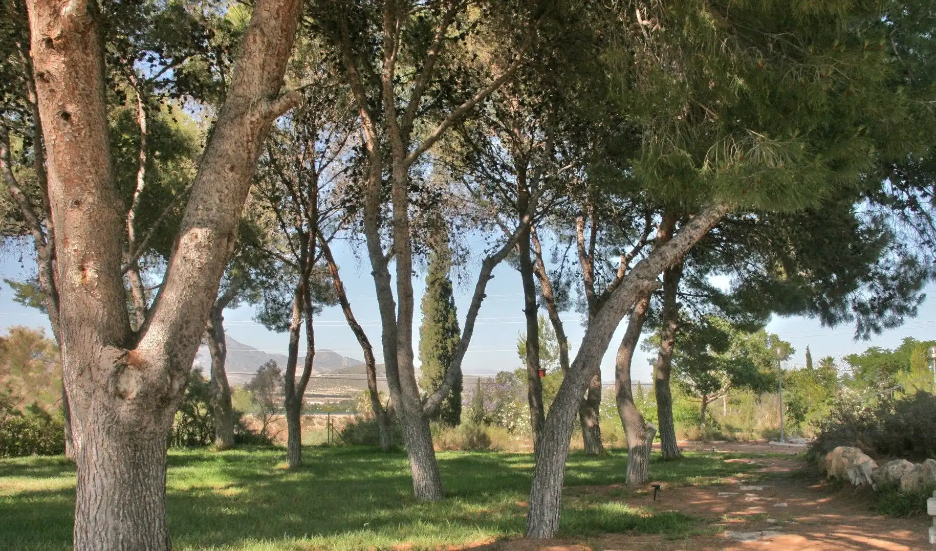 Chalet con piscina en venta en Centro, imagen 15