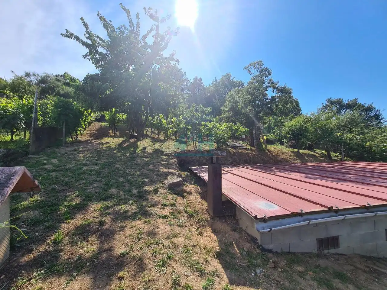 House with garden for sale in O Pereiro de Aguiar, imagen 59