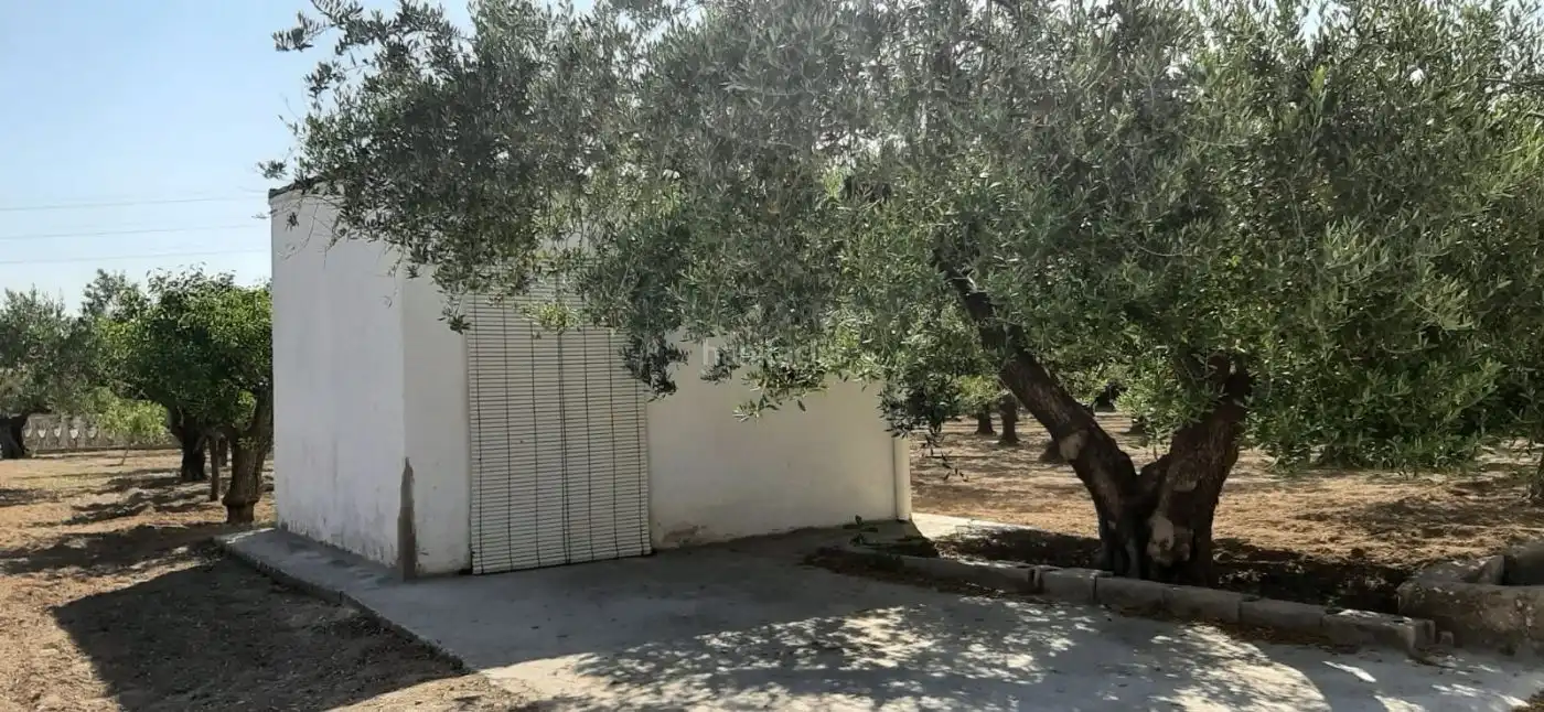 Terrain rustique à vendre à Carrer de l'Alcalde Paco Montes 43, imagen 2