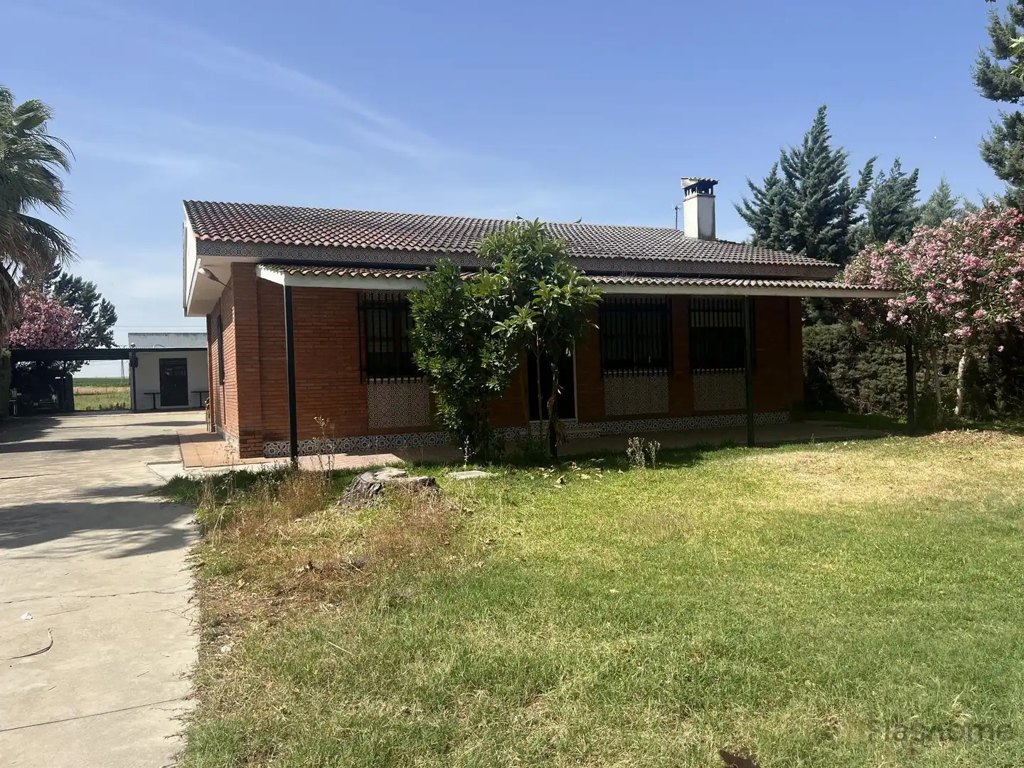Vista exterior de Casa o chalet en venta en Santa Amalia con Terraza y Piscina