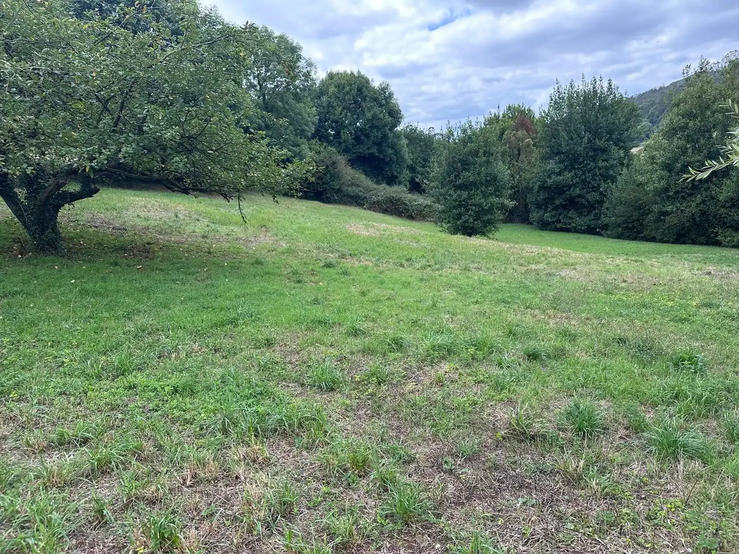 Terreno residencial en venta en Lugar AREÑES, imagen 4