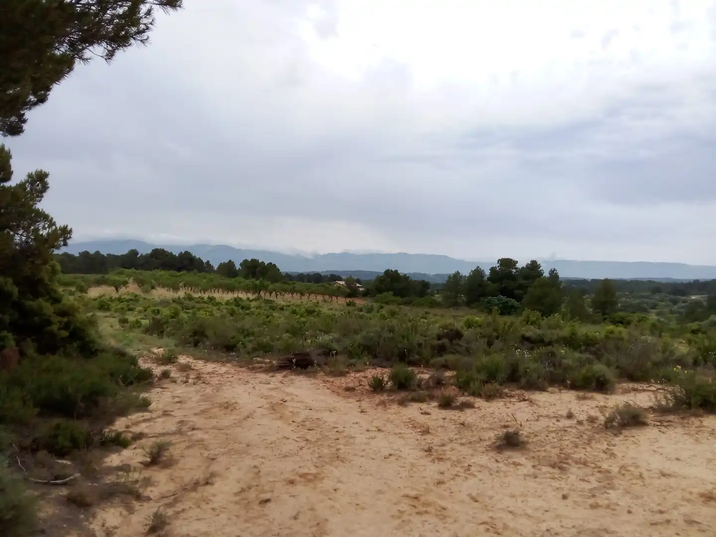 Terreni e lotti in vendita a Arens de Lledó, imagen 6