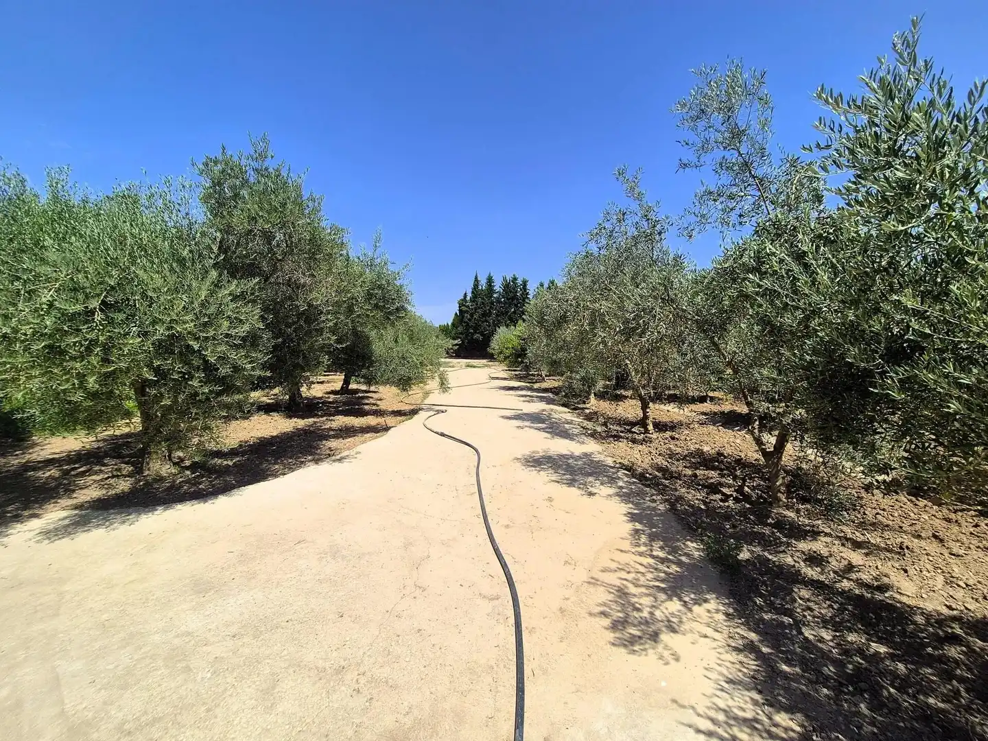 Rural land for sale in Huétor Tájar, imagen 18