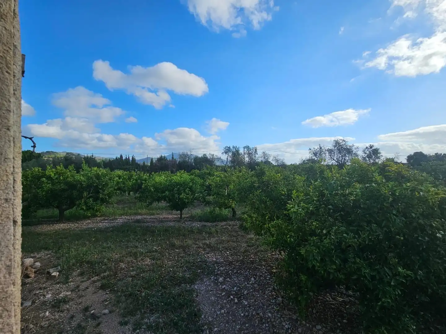 Country house for sale in Alcanar, imagen 18