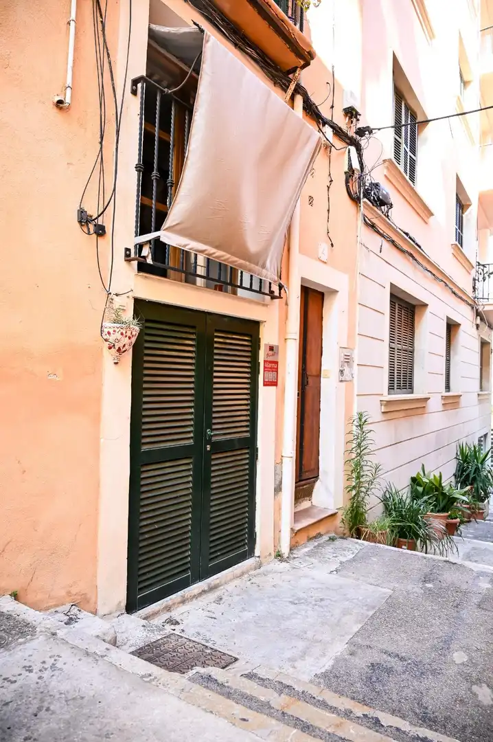 Vista exterior de Planta baja en venta en  Palma de Mallorca