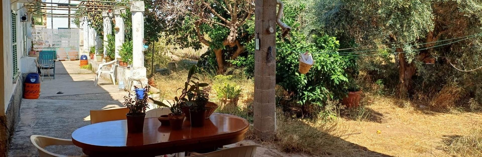 Garden of House or chalet for sale in  Palma de Mallorca  with Private garden, Terrace and Storage room