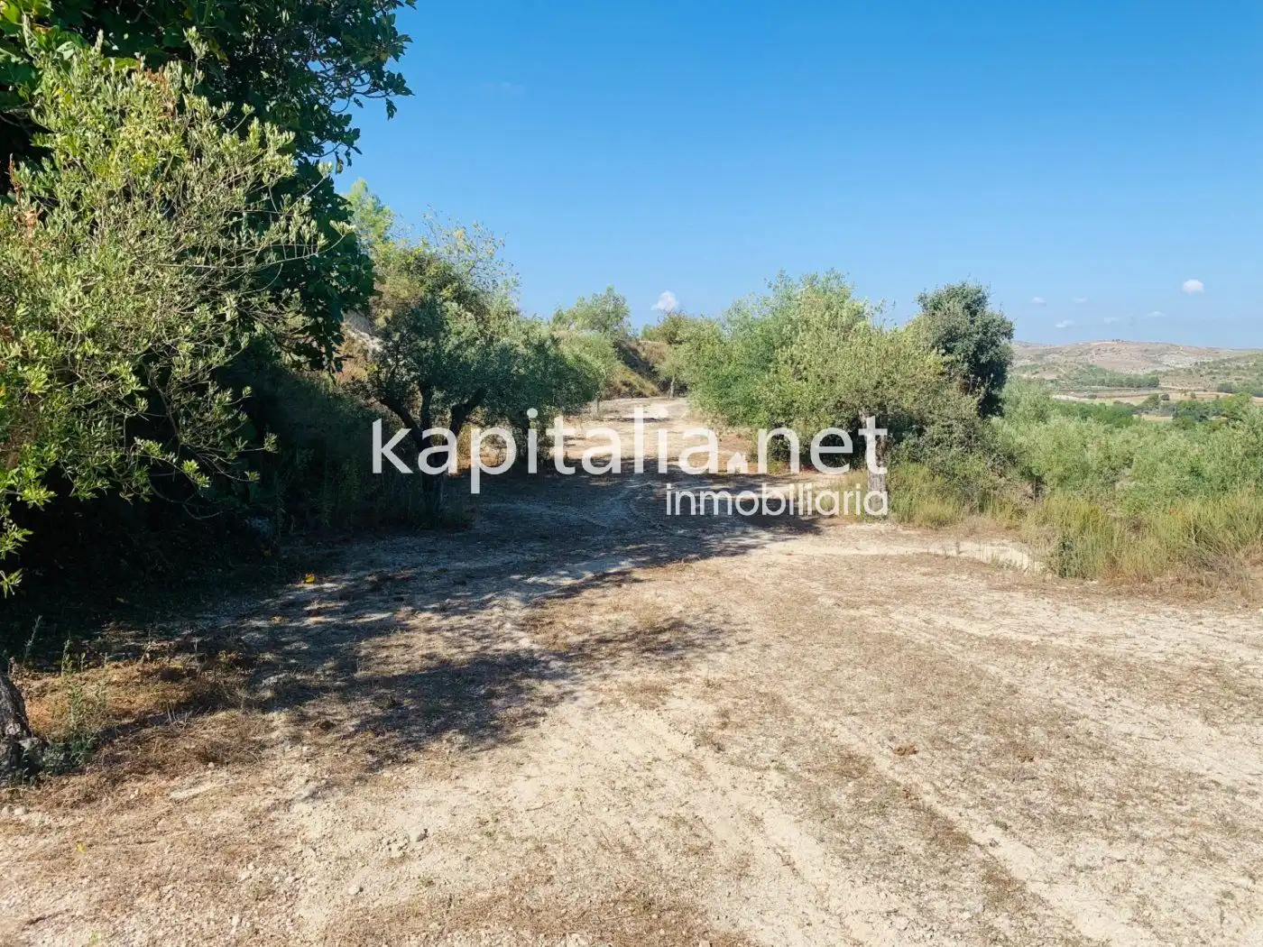 Terreno residencial en venta en Alfafara, imagen 9