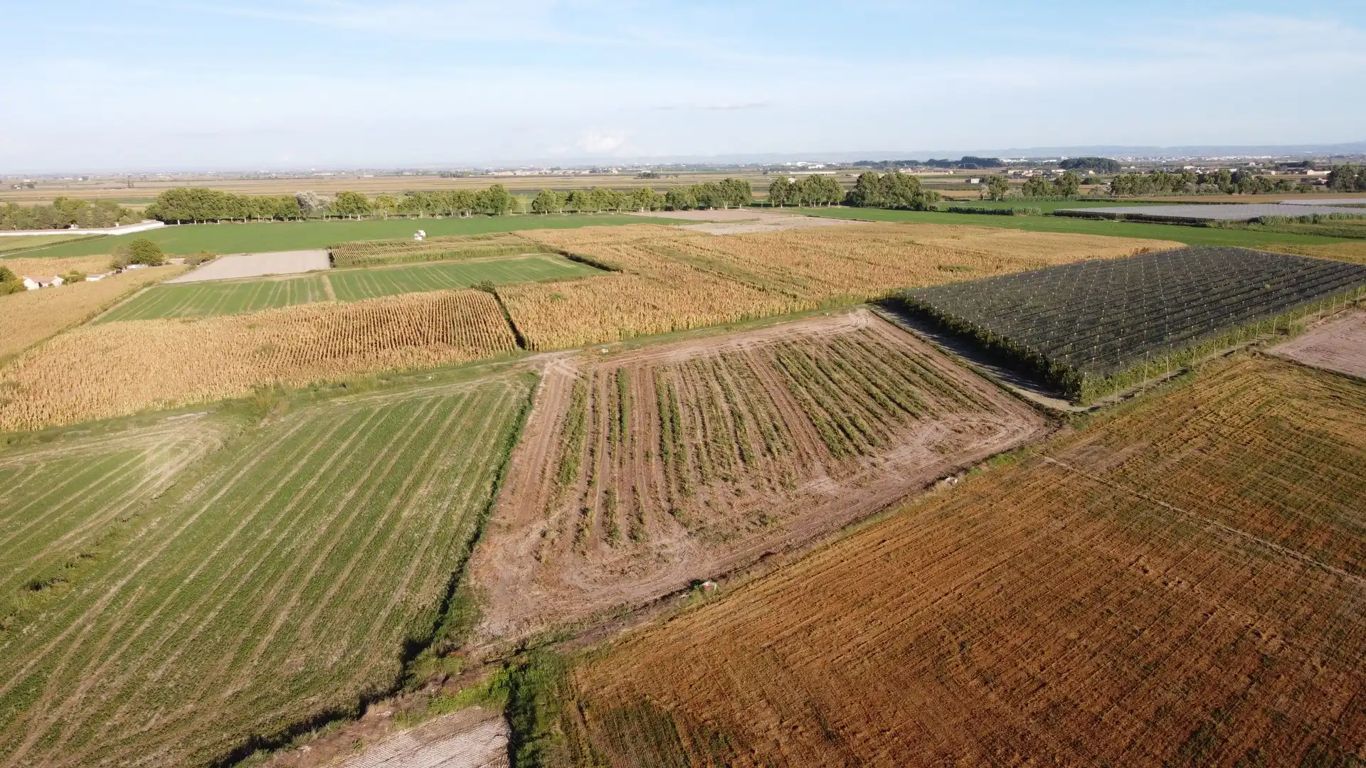 Rural land for sale in Avinguda Balaguer 1981