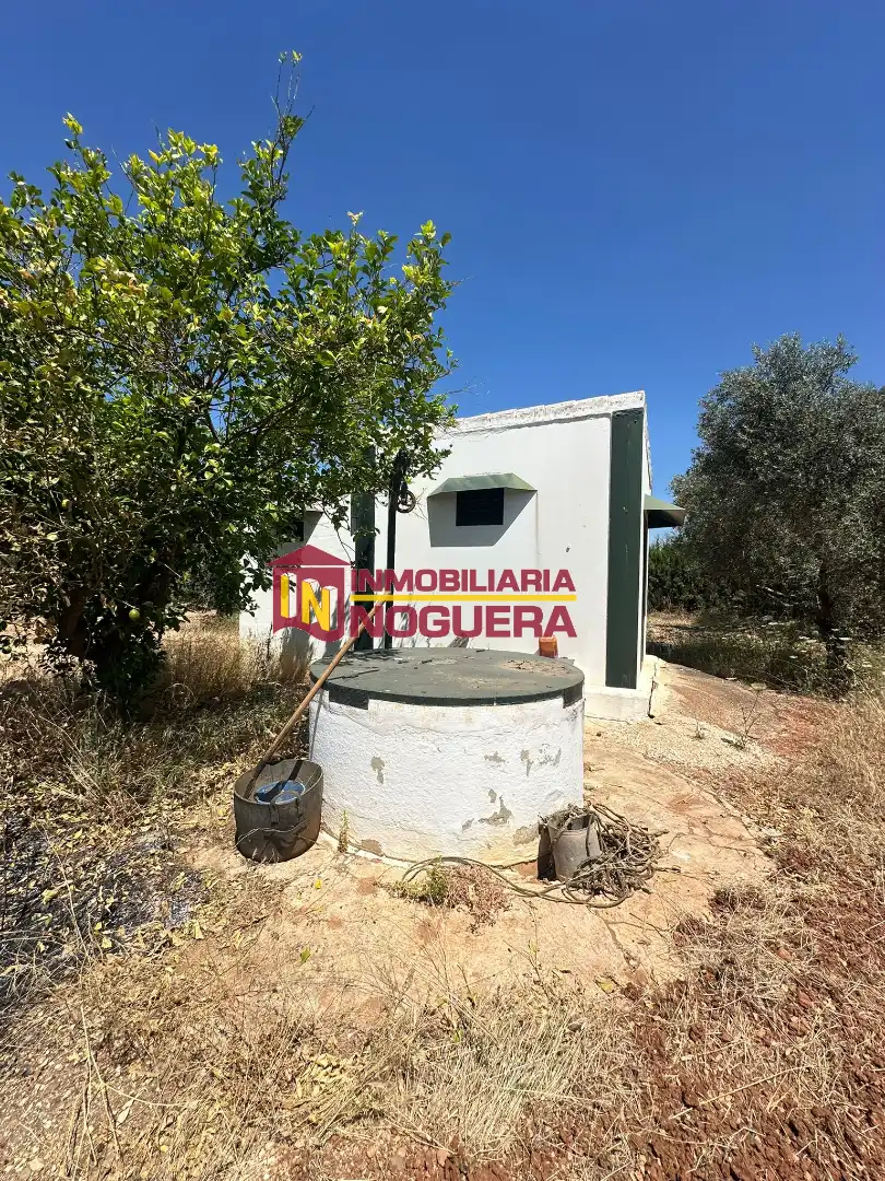 Jardín de Terreno en venta en Écija