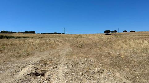 Foto 4 de Finca rústica en venda a San Andrés de Colmenar Viejo, Colmenar Viejo
