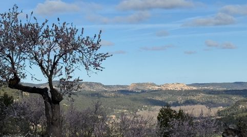 Valderrobres.- Finca de Almendros con másico y almacén, immagine 5