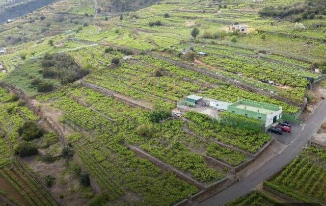 Terreno en Venta en Calle Las Turcas, 69 en La Corujera