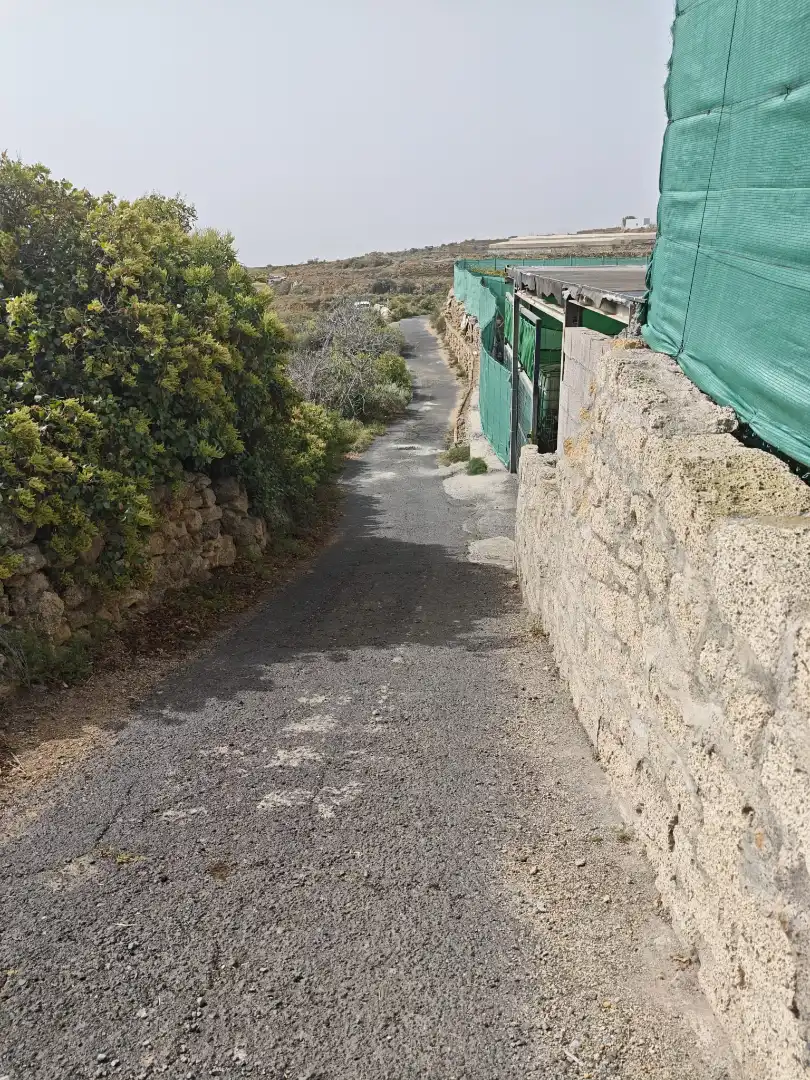 Vista exterior de Terreno en venta en Arico