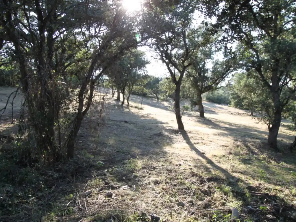 Residential land for sale in Ciudalcampo, imagen 8