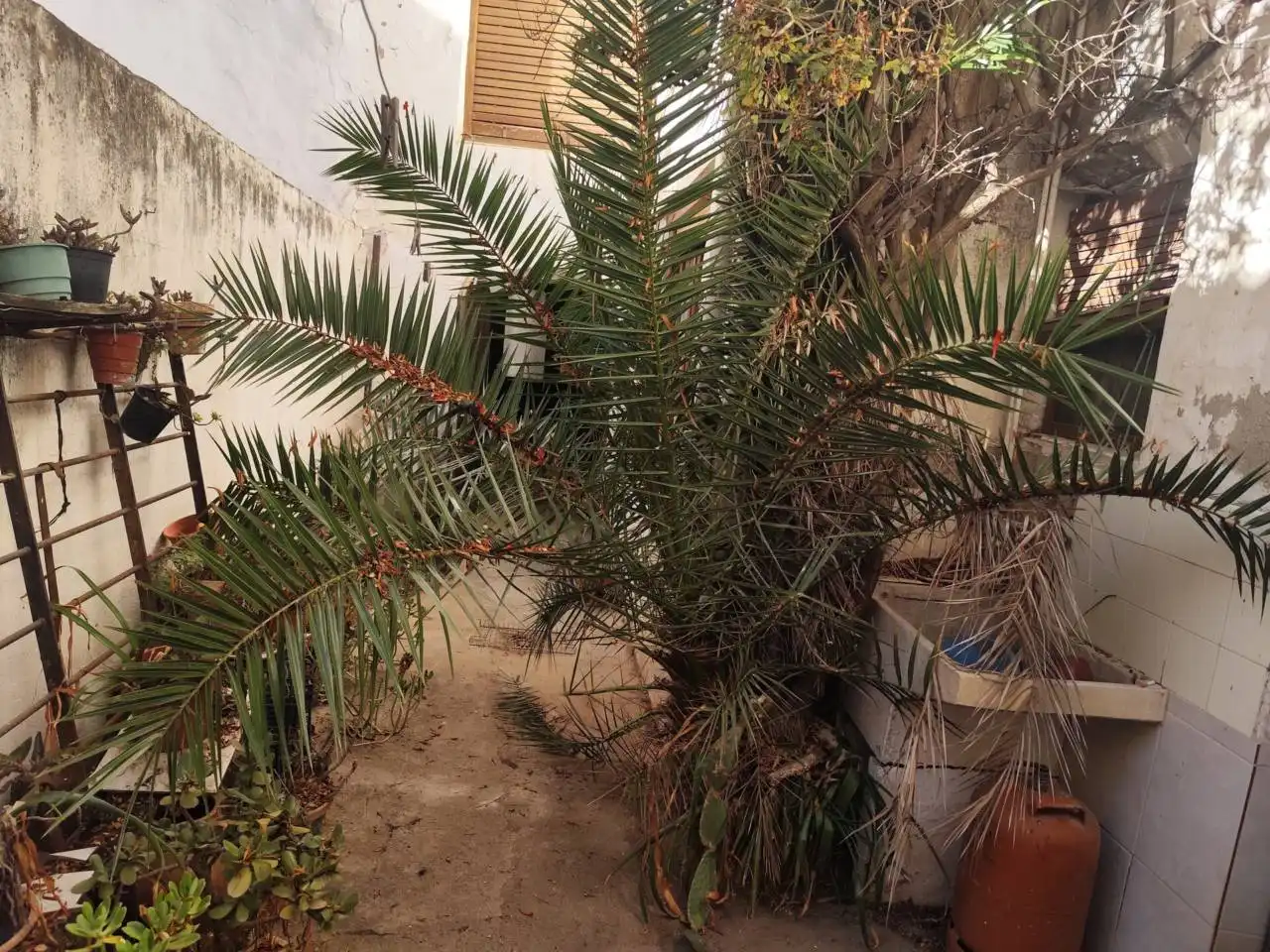 Casa en venta en Calle FALCON, imagen 8