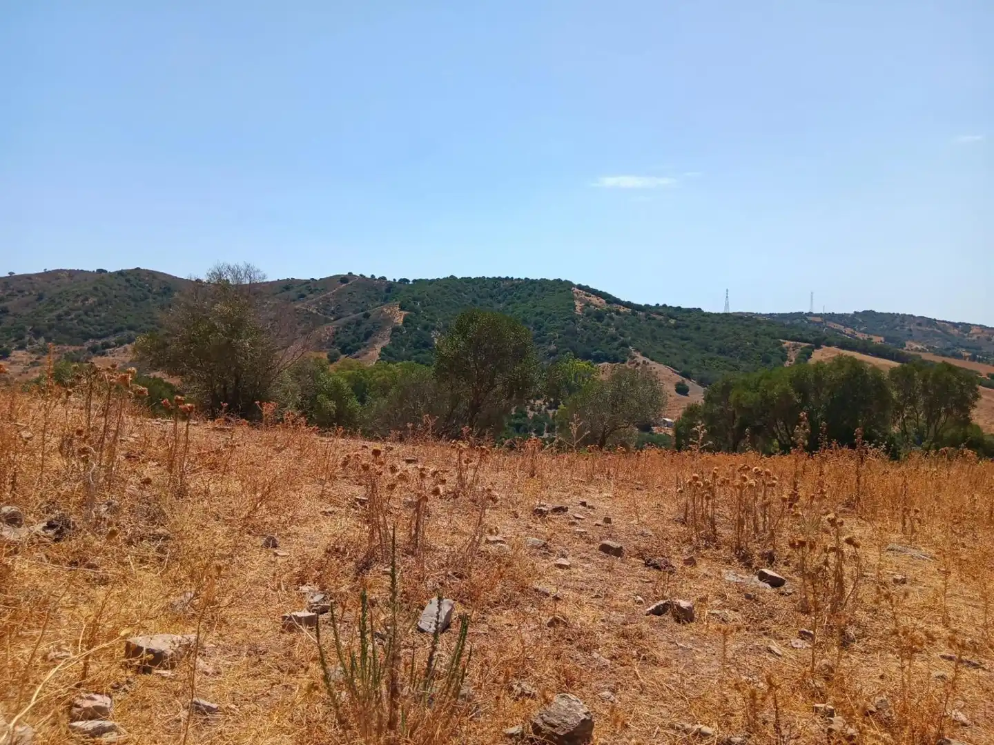 Casa rústica en venta en San Martín del Tesorillo, imagen 22