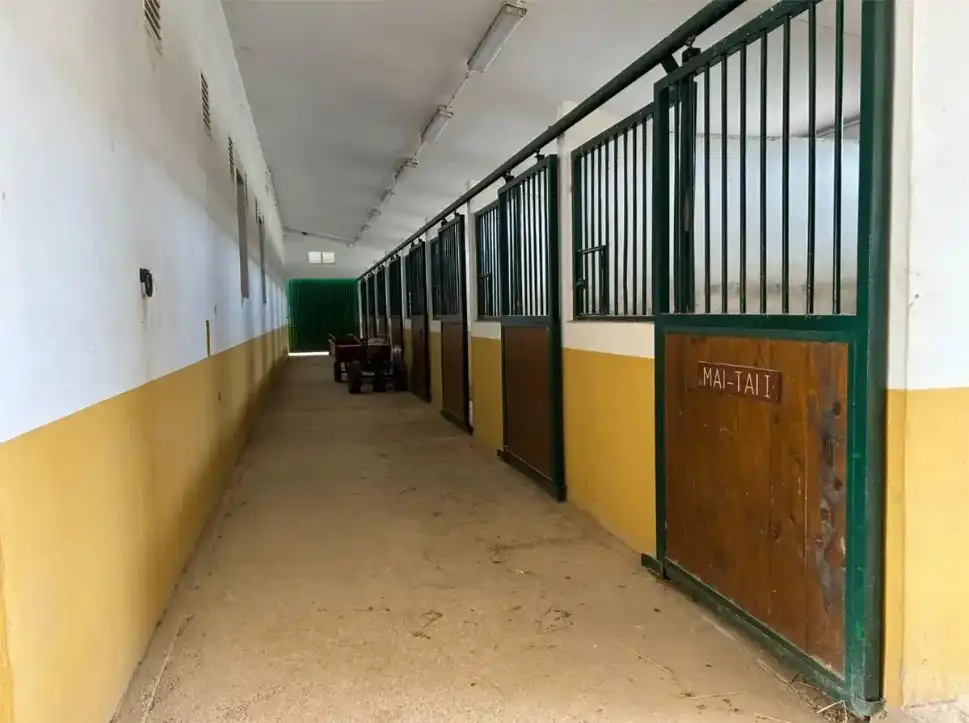 Casa rústica amb piscina en venda a N/A, imagen 111