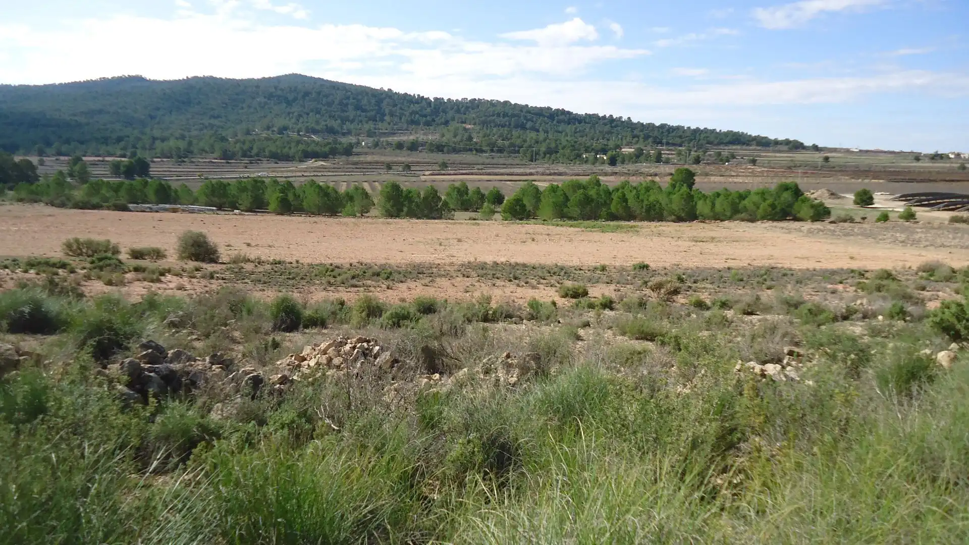 Terreno rústico en venta en Monóvar  / Monòver