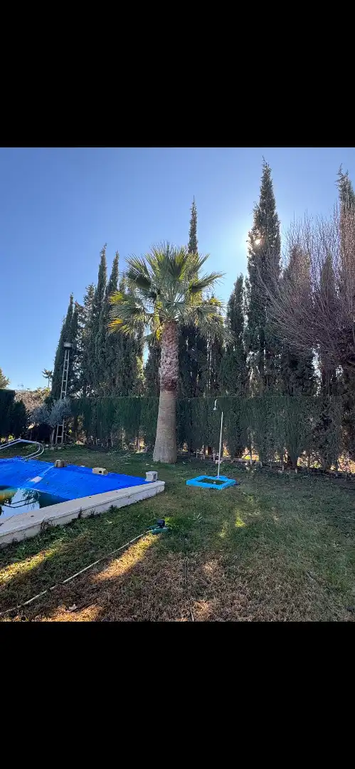 Piscina de Residencial en venda en Antequera