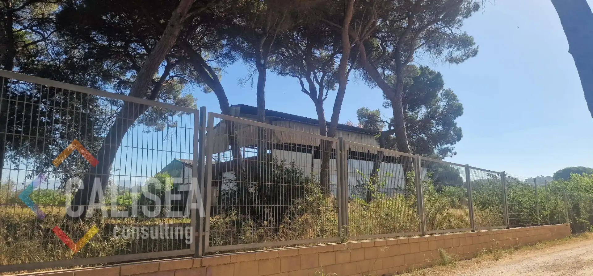 Nau industrial de lloguer a Carrer del Bosc de la Riera 1, imagen 16