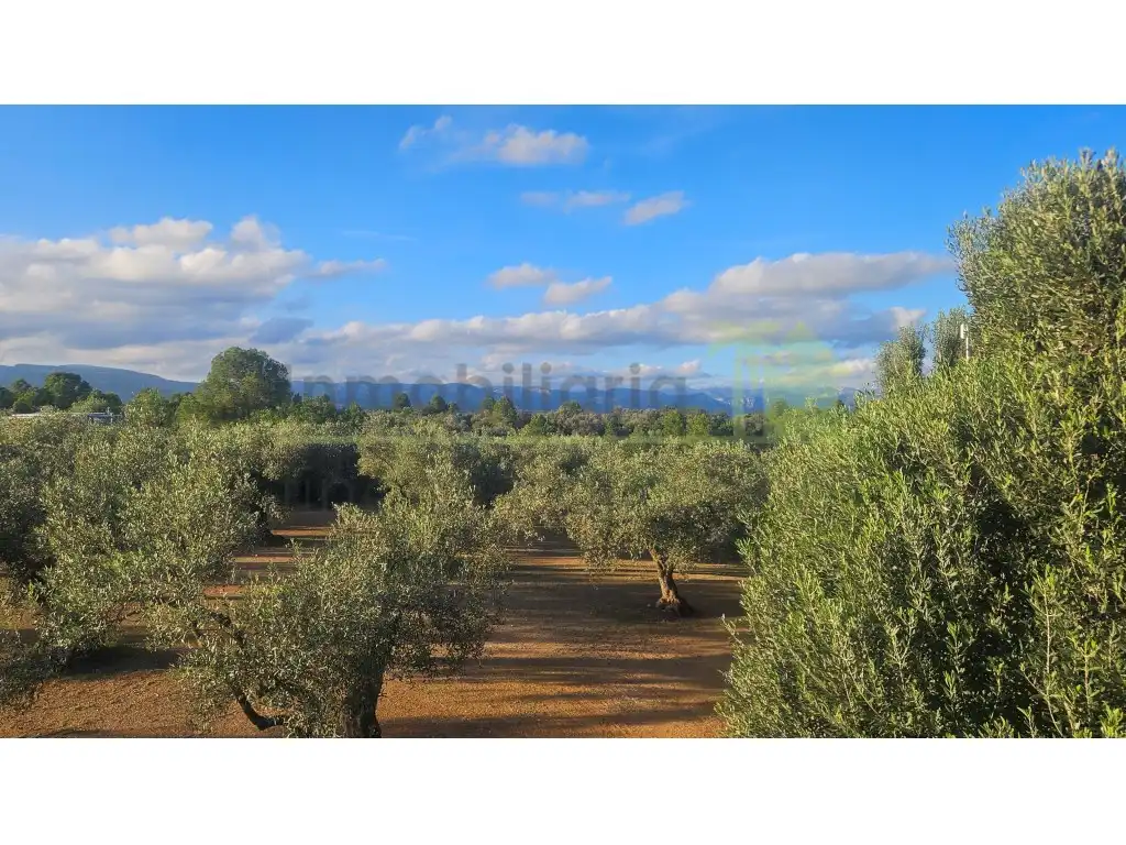 Finca rústica en venta en Canet lo Roig con Jardín privado