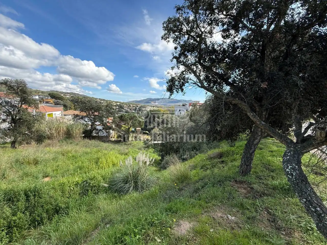 Terreno rústico en venta en Alella, imagen 13